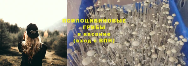 винт Абаза