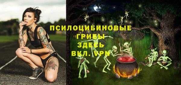 соль ск Переславль-Залесский