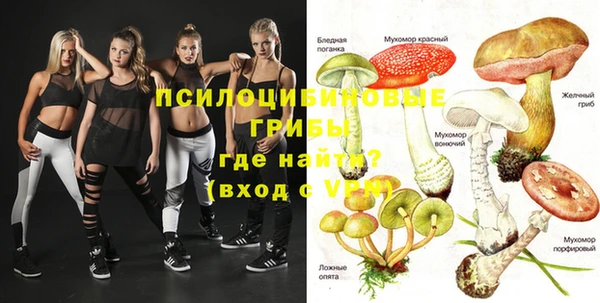 винт Абаза